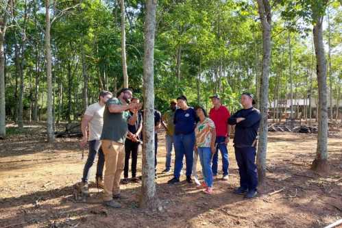 HEVEACOOP promove Curso de Sangria de Seringueira em parceria com SENAR e Sindicato Rural de Guarapari